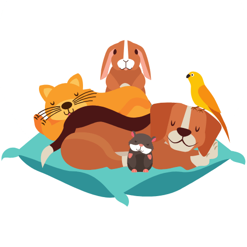 Accesorios y Juguetes Mascota - innovagizmo.com