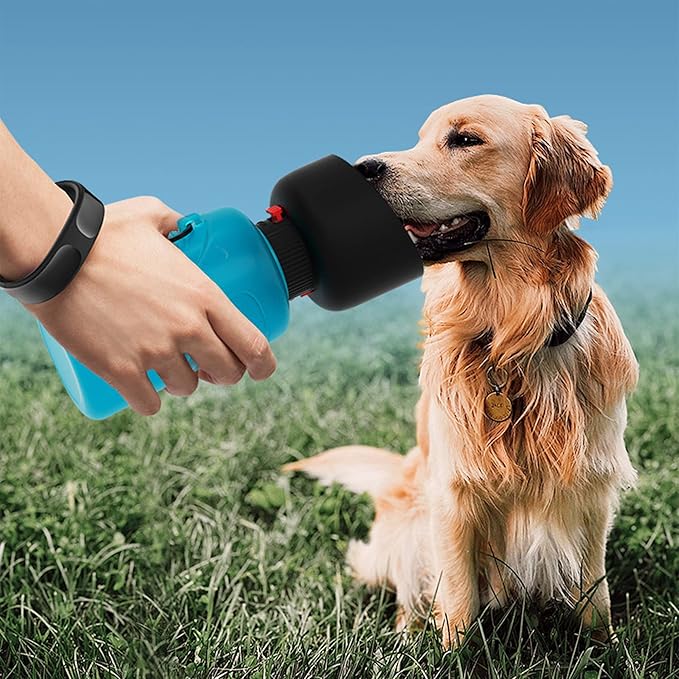 Botella de Agua Plegable para Mascotas