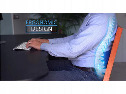 COJIN ERGONOMICO APOYO LUMBAR - innovagizmo.com