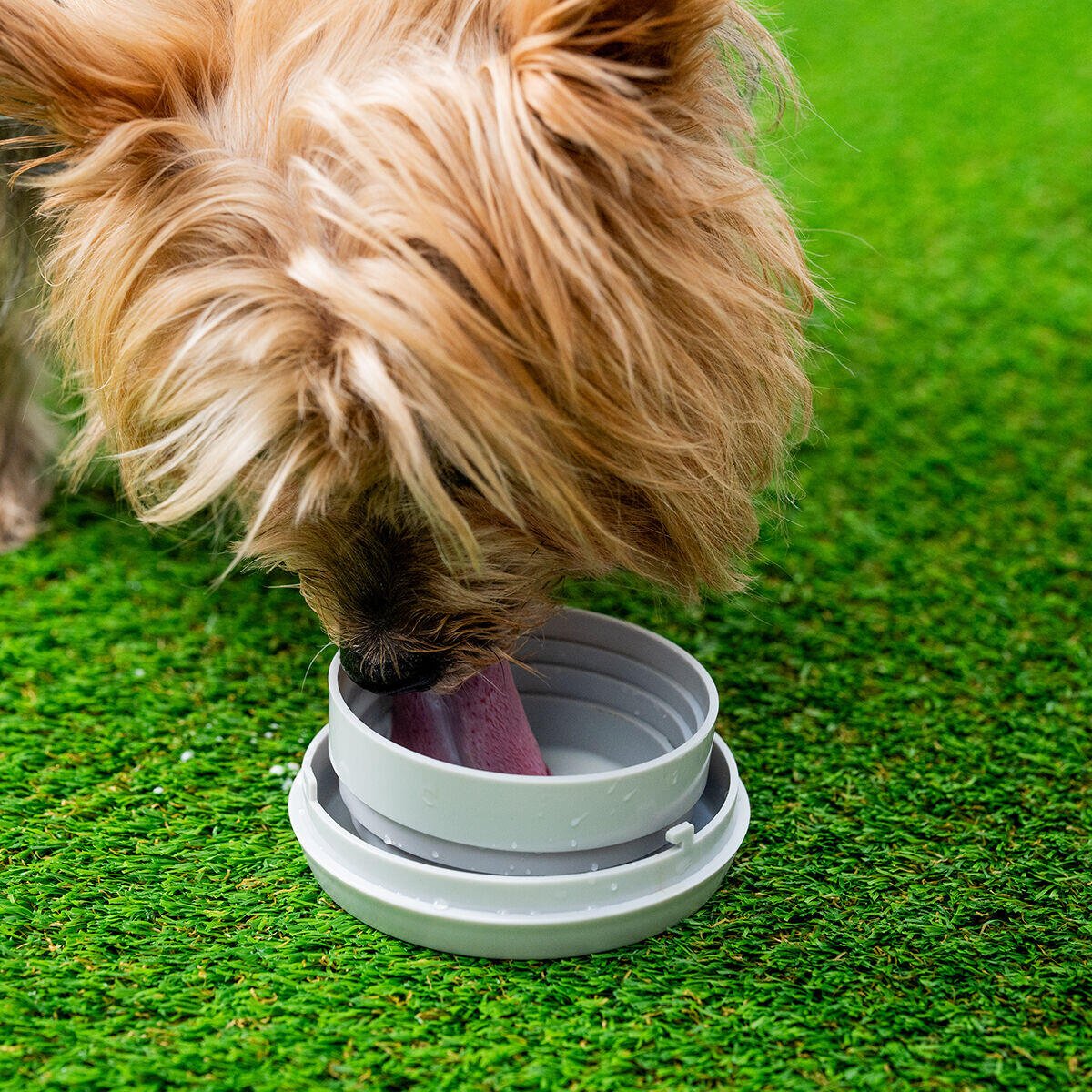 Correa Retráctil para Perros 6 en 1 Leashic - innovagizmo.com