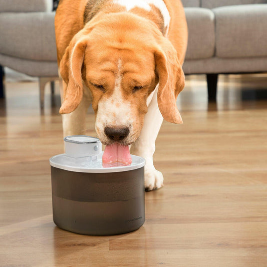 Fuente para Mascotas Recargable con Sensor Refopet - innovagizmo.com