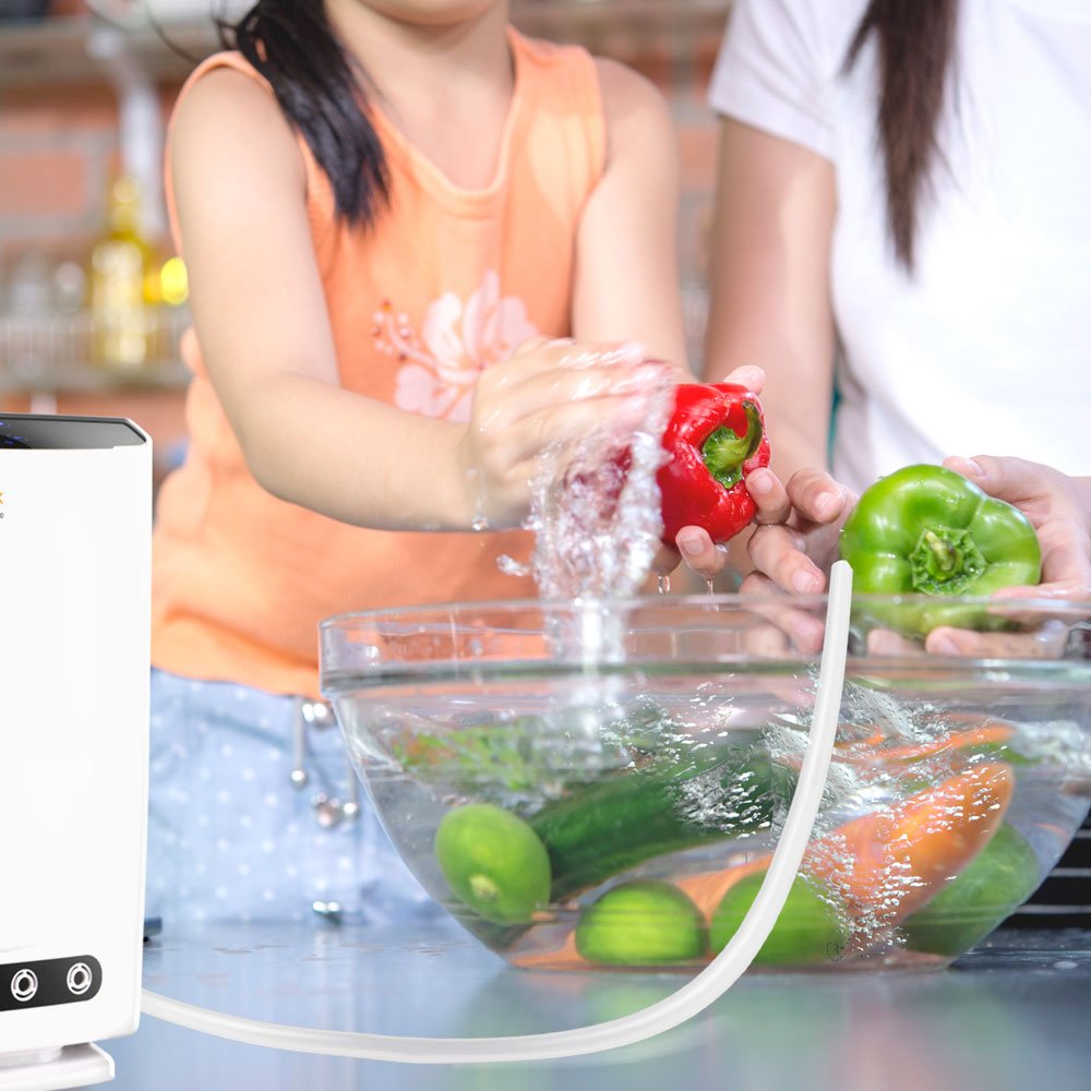 Generador de Ozono para Aire y Agua con Ionizador – Purificador Multifunción para Hogar - innovagizmo.com