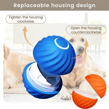 Pelota interactiva para perros - innovagizmo.com