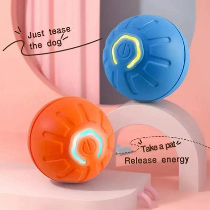 Pelota interactiva para perros - innovagizmo.com