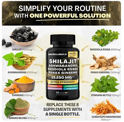 Suplemento Energizante 4 en 1 con Shilajit, Ashwagandha, Rhodiola y Panax Ginseng – Vitalidad y Rendimiento