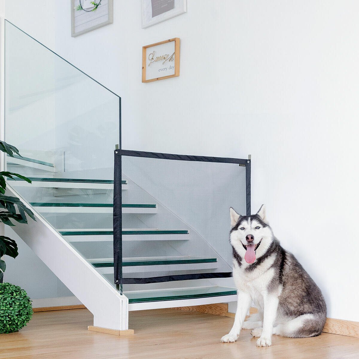 Red de Seguridad para Mascotas Petinu - innovagizmo.com