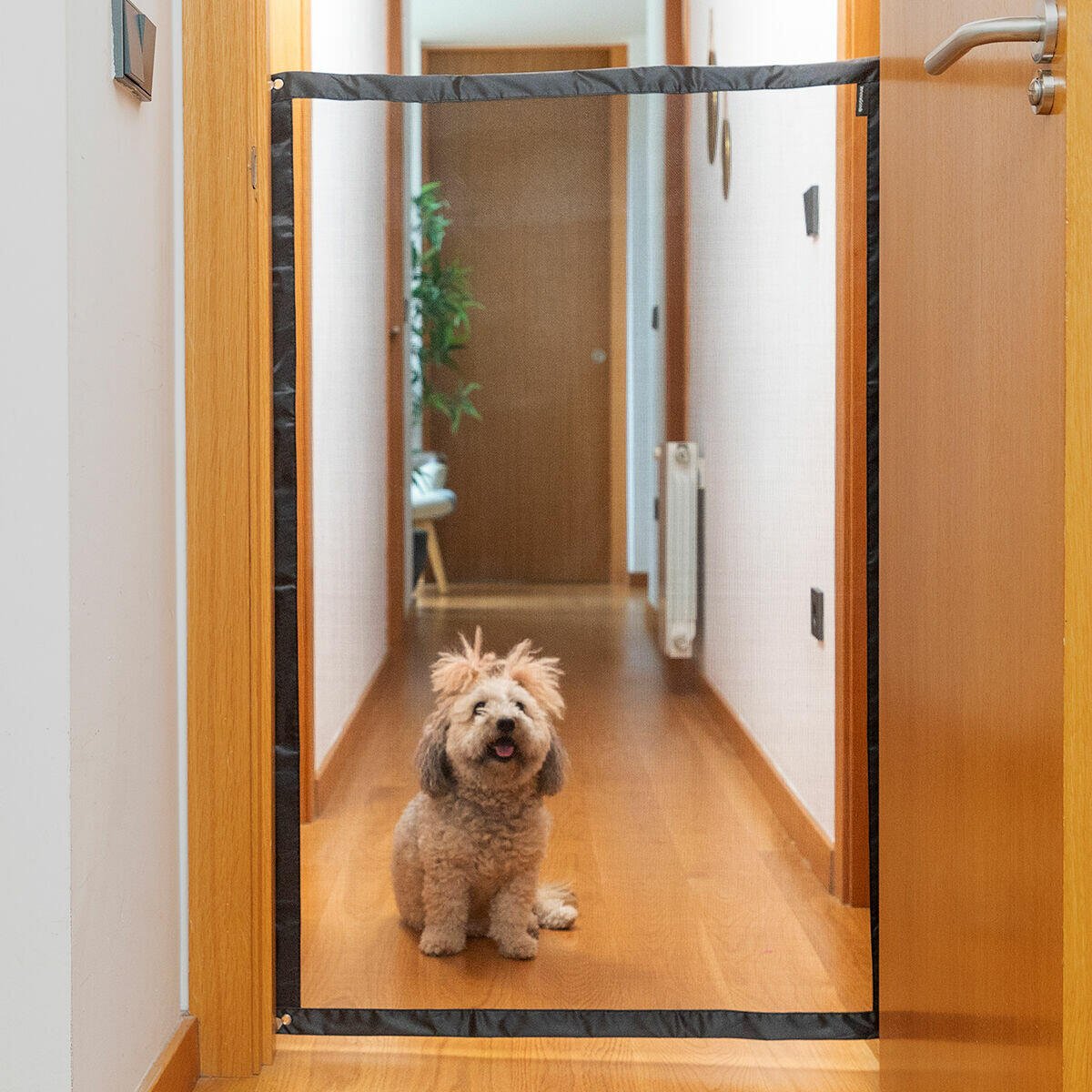 Red de Seguridad para Mascotas Petinu - innovagizmo.com
