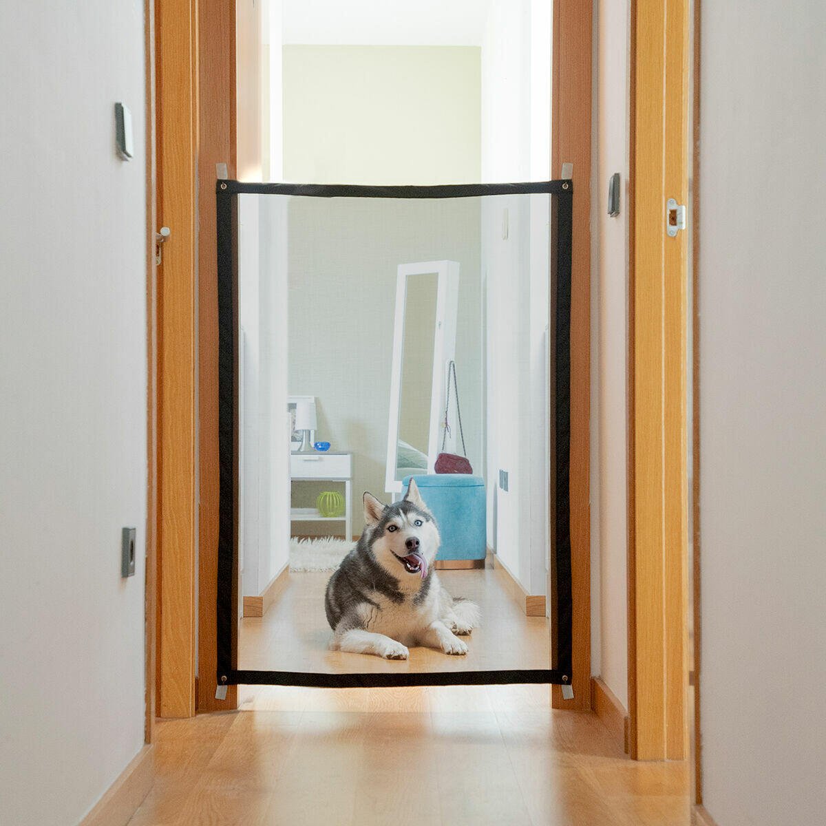 Red de Seguridad para Mascotas Petinu - innovagizmo.com
